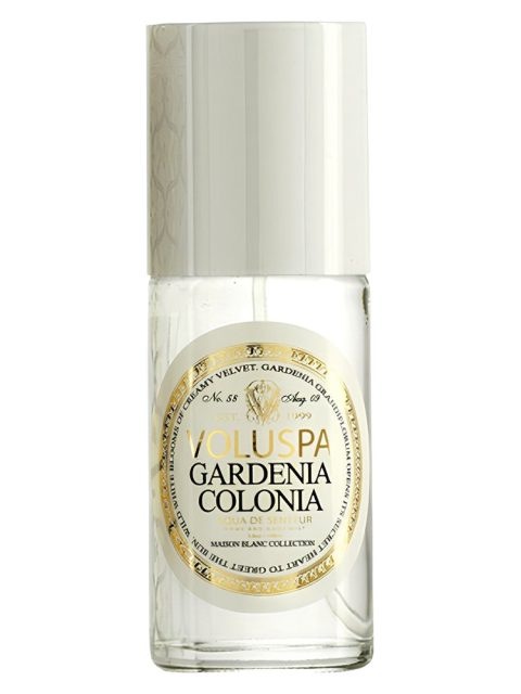 Gardenia Colonia