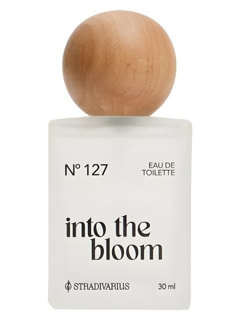 Nᵒ127 Into the Bloom