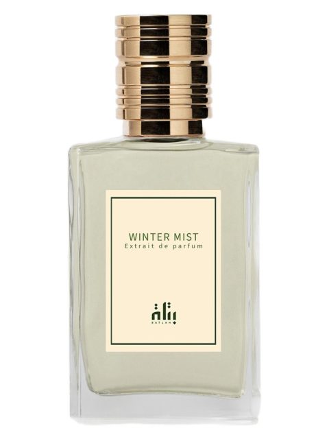 Winter Mist