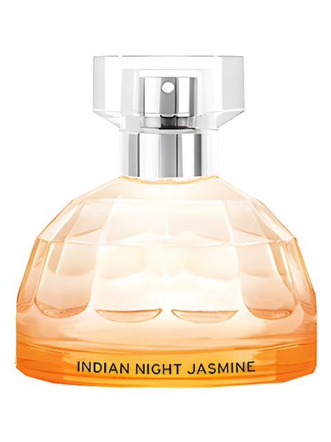 Indian Night Jasmine