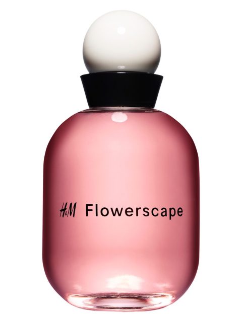 H&M Flowerscape