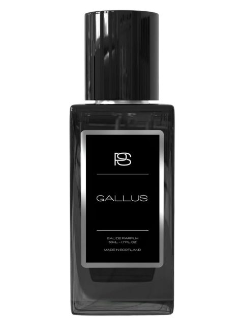 Gallus