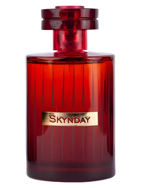 Skynday