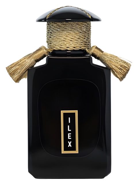 Ilex