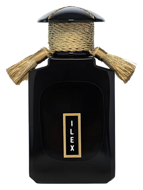 Ilex