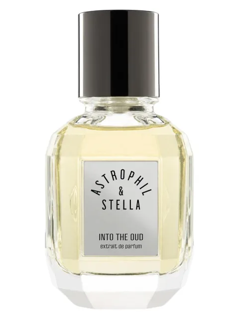 Into The Oud