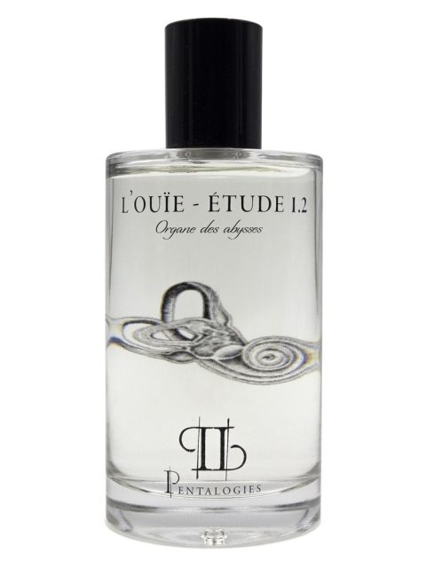Etude 1.2: L’Ouïe
