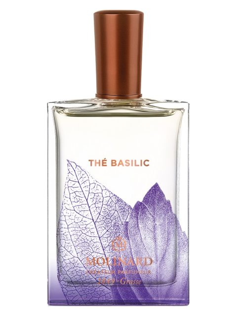 Thé Basilic