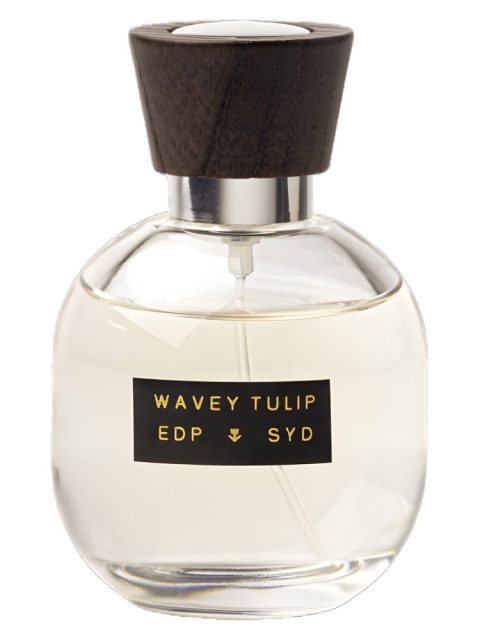 Wavey Tulip