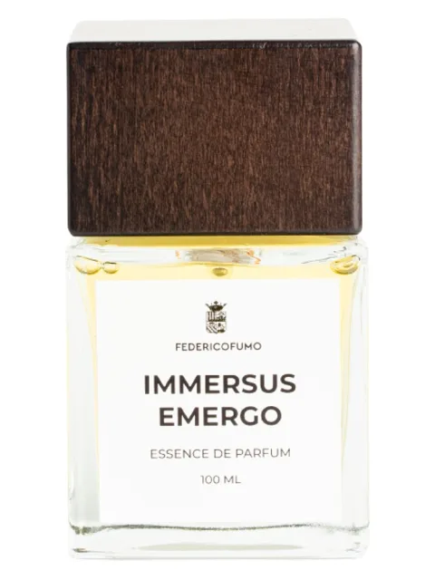 Immersus Emergo