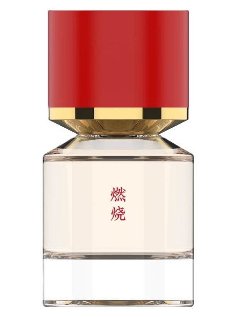 Burning 燃烧