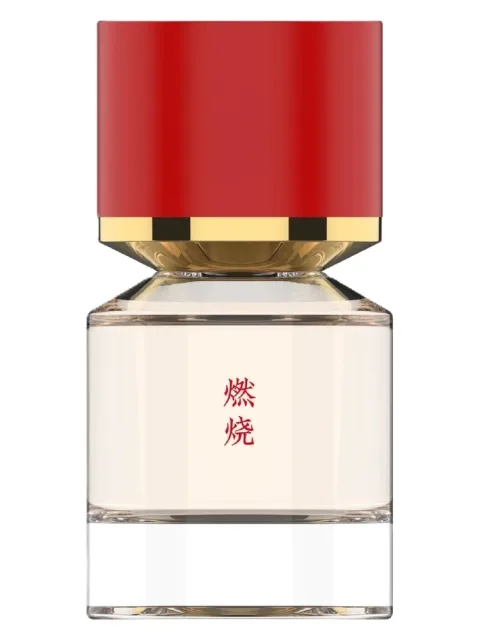 Burning 燃烧