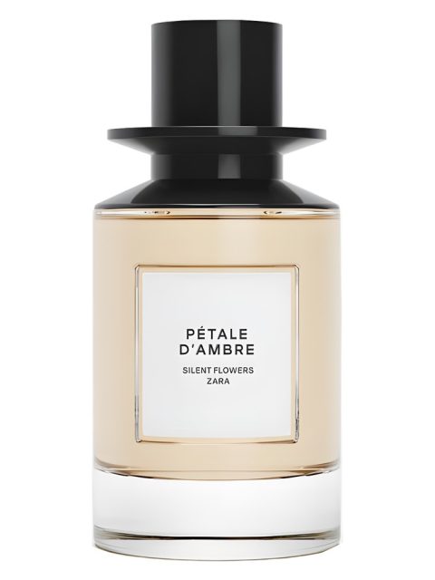 Petale d'Ambre