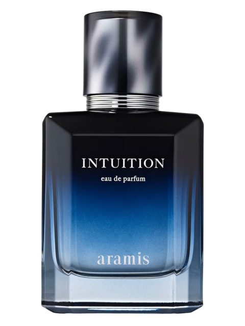 Intuition