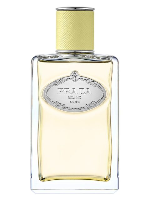 Infusion de Gingembre