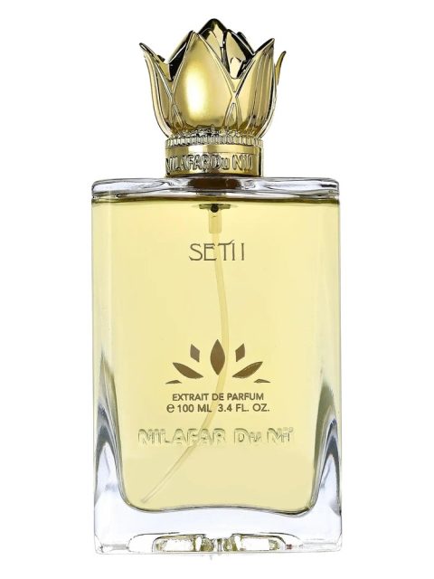 SETI I