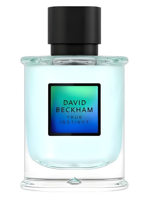 David Beckham True Instinct