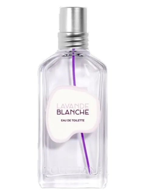 Lavande Blanche