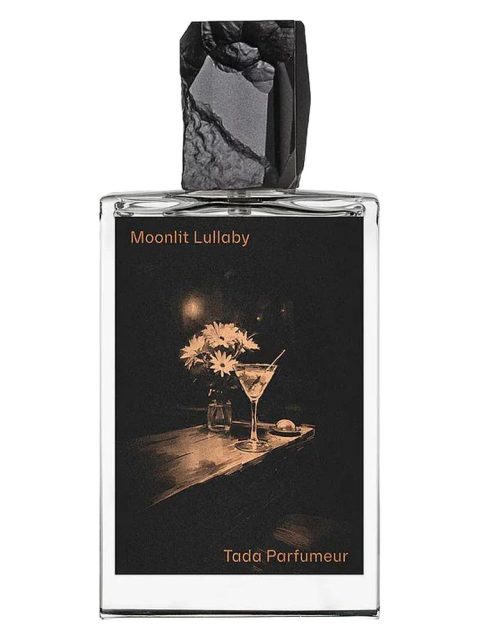 Moonlit Lullaby