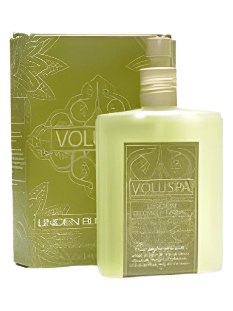 Linden Blond Tabac