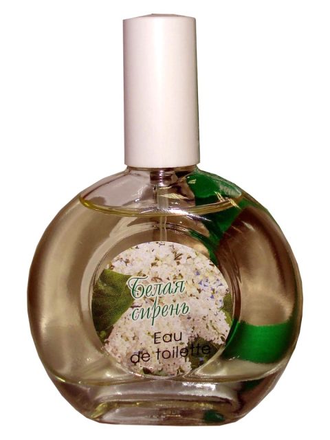 White Lilac Белая Сирень
