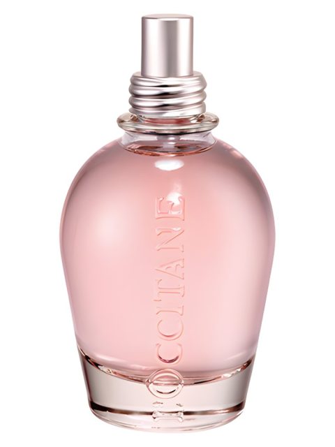 Pivoine Delicate