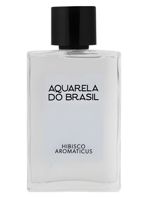 Hibisco Aromaticus