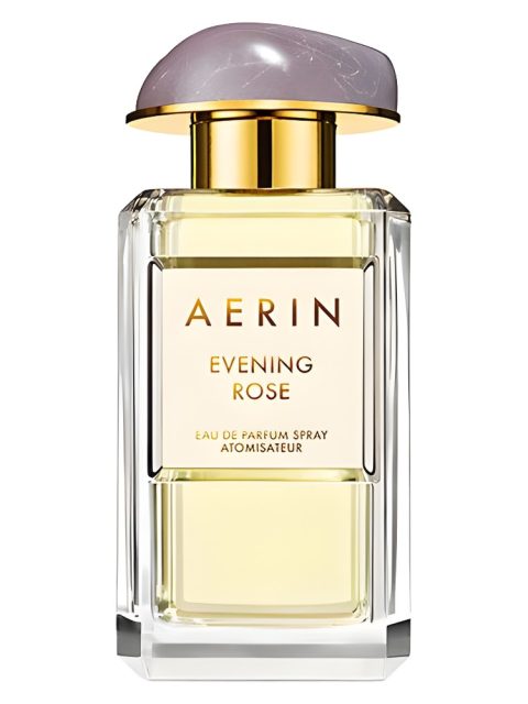 Evening Rose
