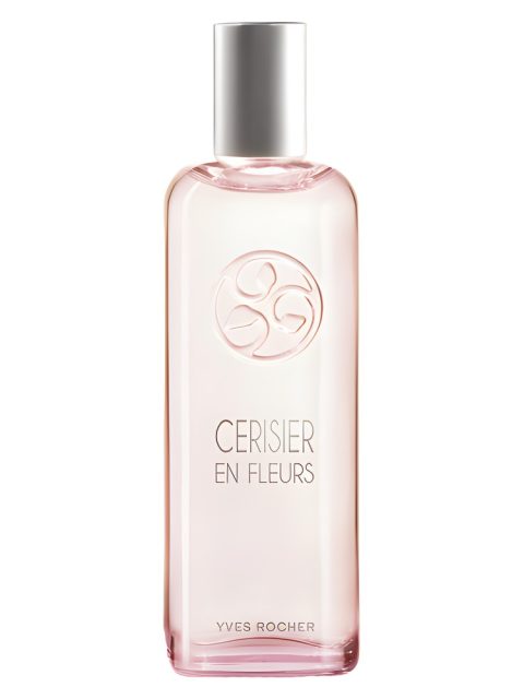 Cerisier en Fleurs