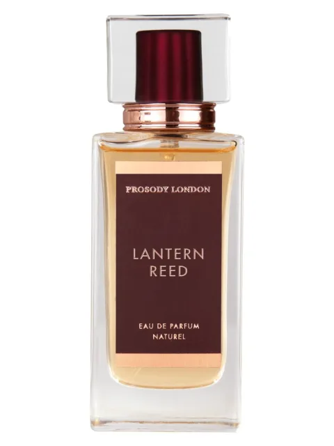 Lantern Reed