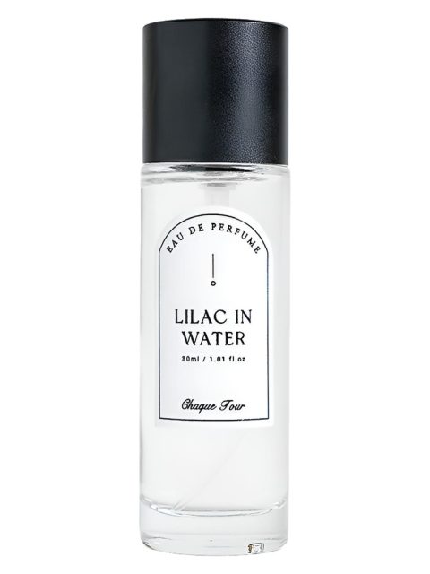 Lilac In Water