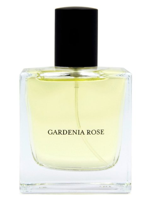 Gardenia Rose