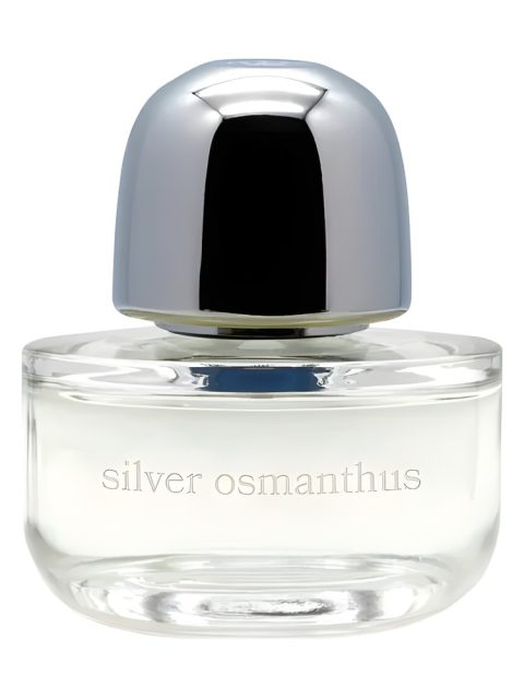 Silver Osmanthus