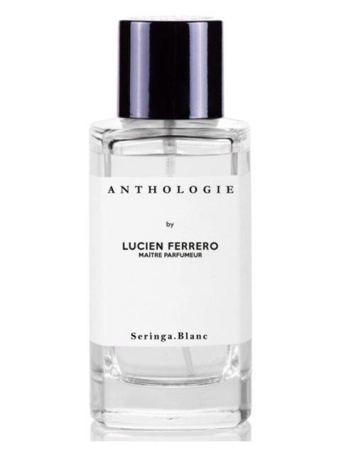 Seringa Blanc