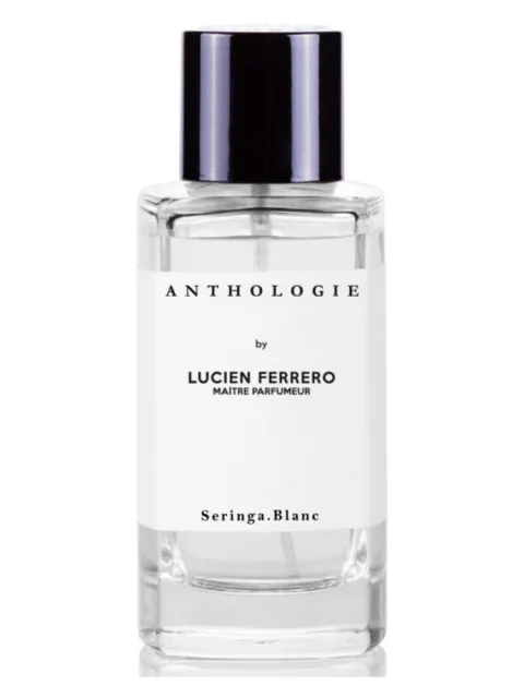 Seringa Blanc