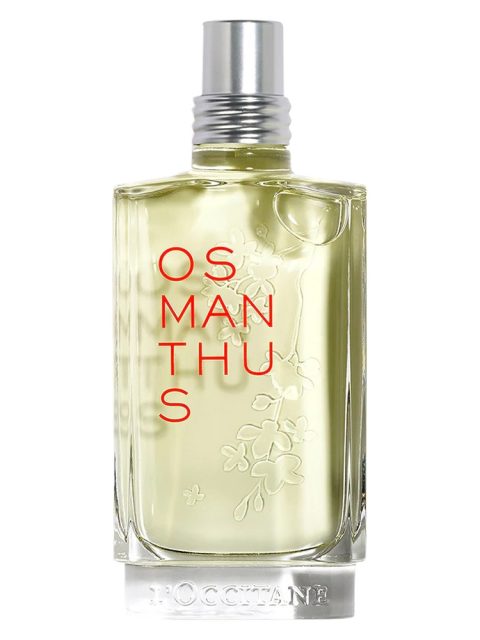 Osmanthus