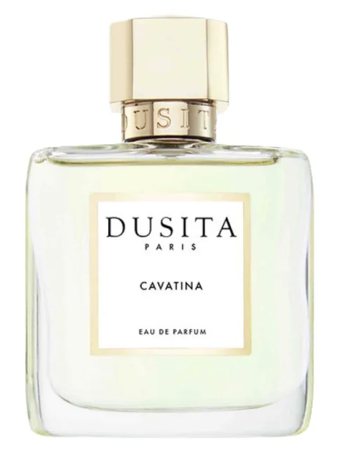 Cavatina