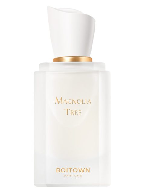 Magnolia Tree	一树玉兰