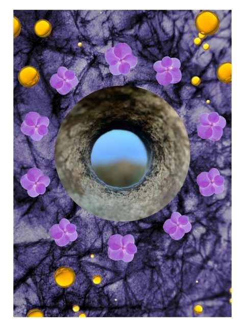 Crown Of Violets