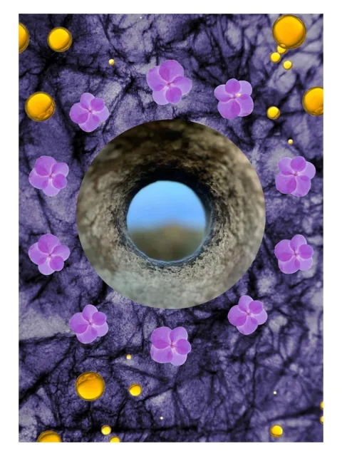 Crown Of Violets