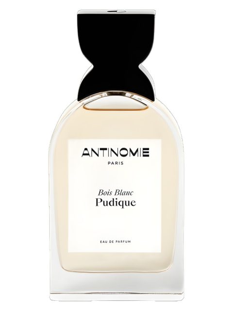 Bois Blanc Pudique