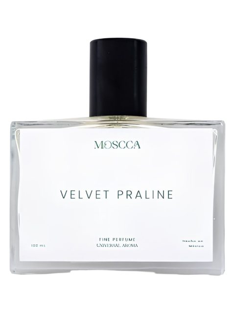 Velvet Praline