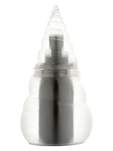 Turritella