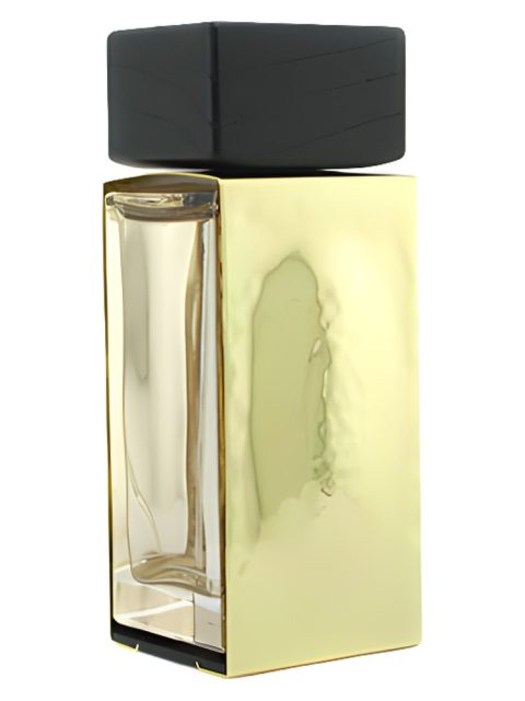Donna Karan Gold