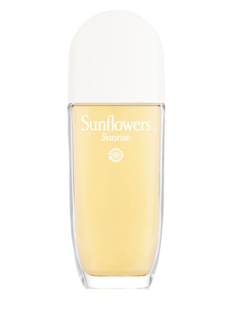 Sunflowers Sunrise
