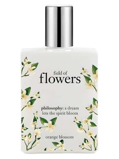 Field of Flowers Orange Blossom