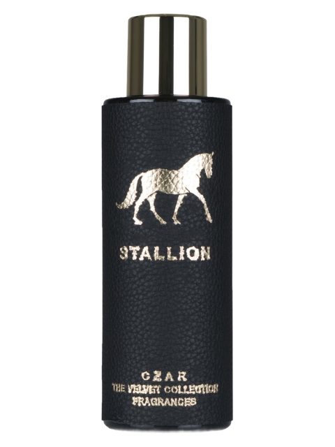 Stallion X Aslan Gülçiçek