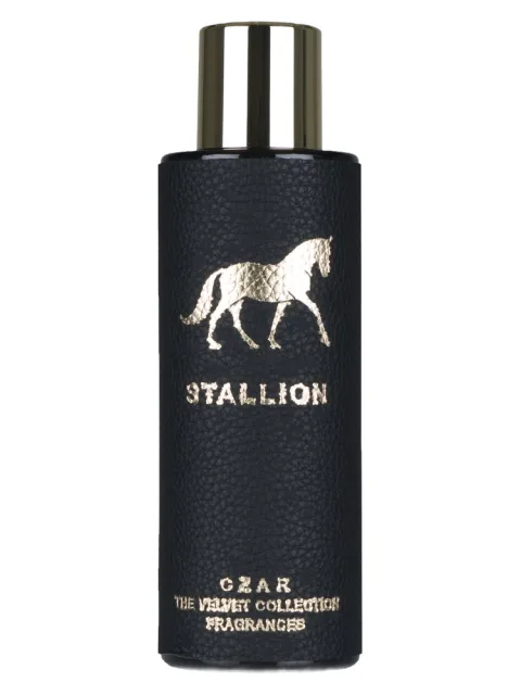 Stallion X Aslan Gülçiçek