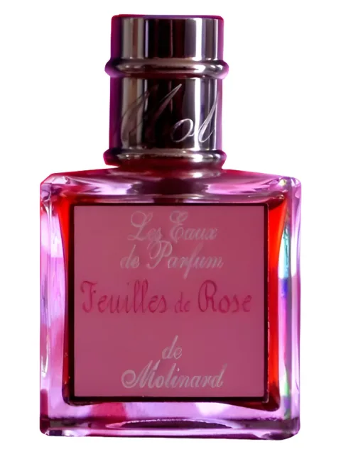 Feuilles de Rose