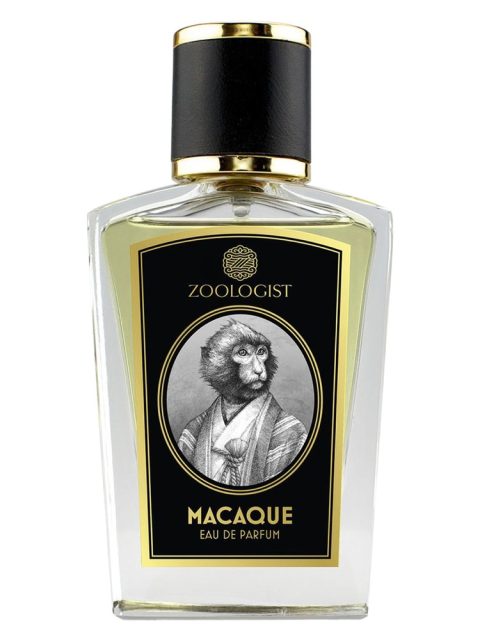Macaque